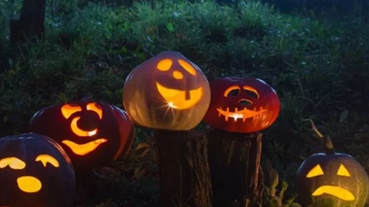 Torchlight pumkin picking at bluebells